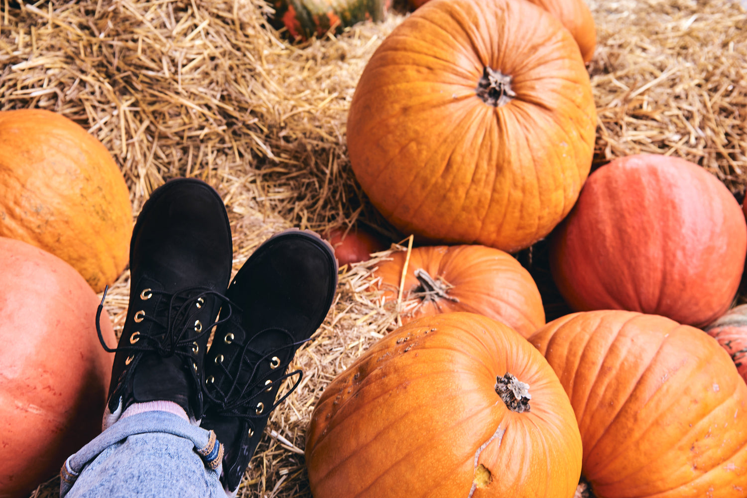 Fall Collection